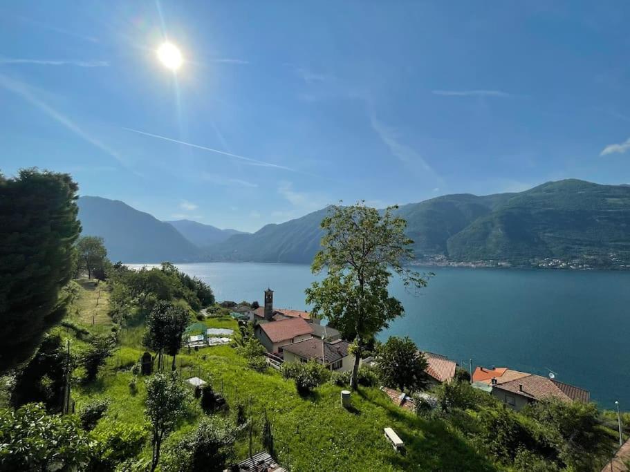 Il Noce Lake View Apartment Lezzeno Bagian luar foto